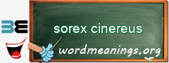 WordMeaning blackboard for sorex cinereus